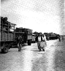 Al Majdal, October 12th 1950. Photo by Beno Rothenberg.